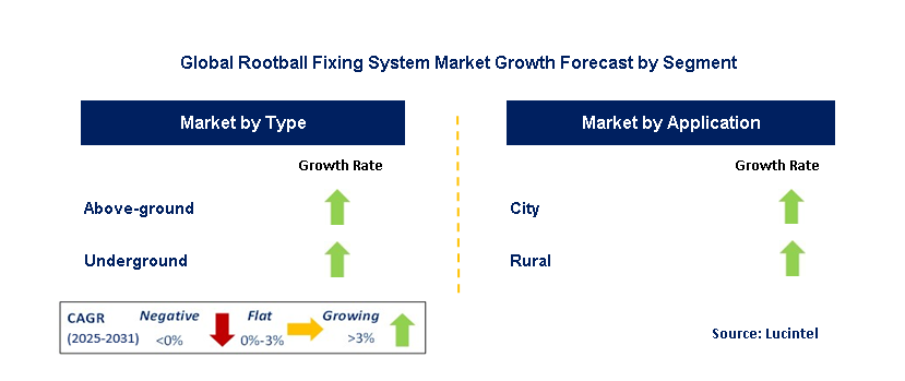 Rootball Fixing System Market by Segment