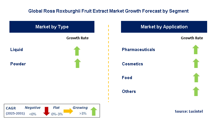 Rosa Roxburghii Fruit Extract Market by Segment