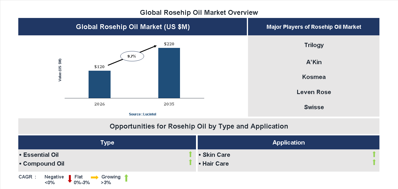Rosehip Oil Market Trends and Forecast