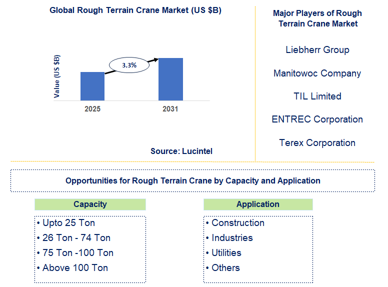 Rough Terrain Crane Market Trends and Forecast