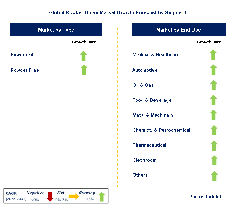 Rubber Glove Market by Segment