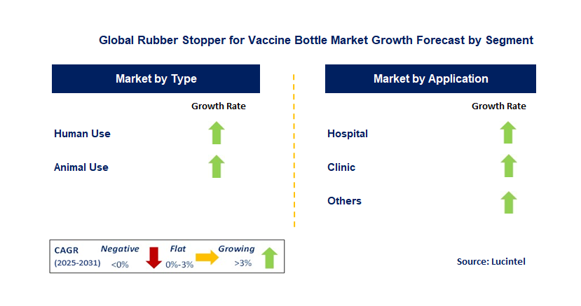 Rubber Stopper for Vaccine Bottle Market by Segment
