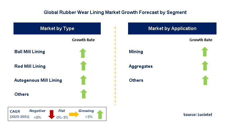 Rubber Wear Lining Market by Segment