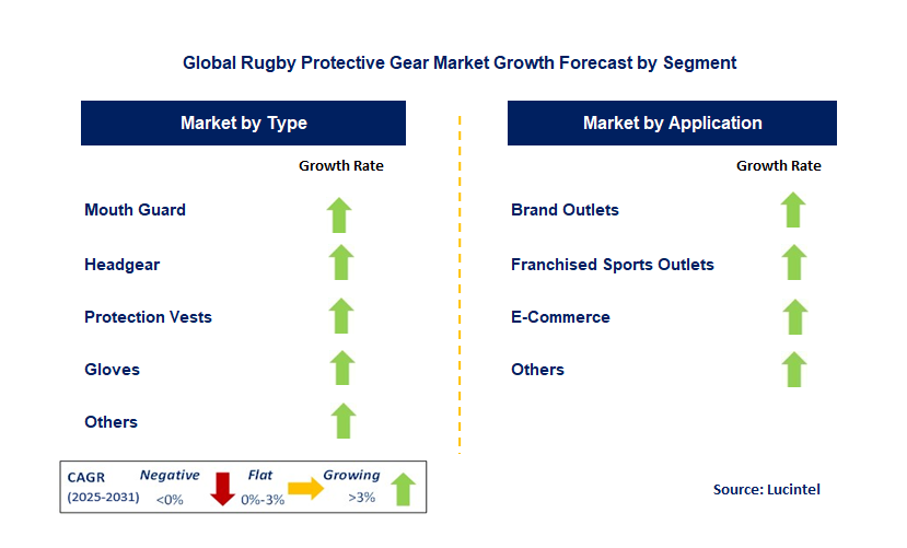 Rugby Protective Gear Market by Segment