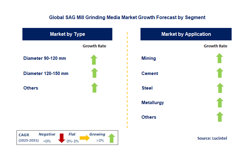 SAG Mill Grinding Media Market by Segment
