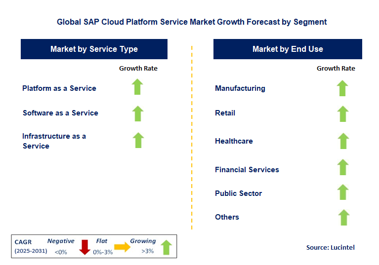 SAP Cloud Platform Service Market by Segment