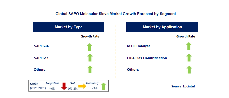 SAPO Molecular Sieve Market by Segment