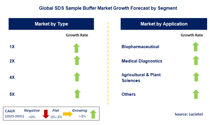 SDS Sample Buffer Market by Segment
