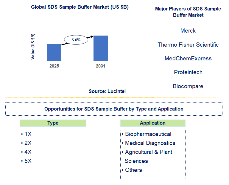 SDS Sample Buffer Market Trends and Forecast