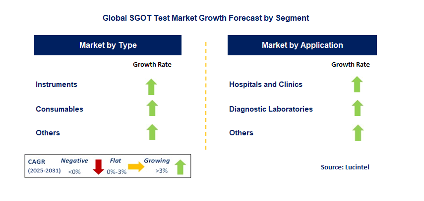 SGOT Test Market by Segment