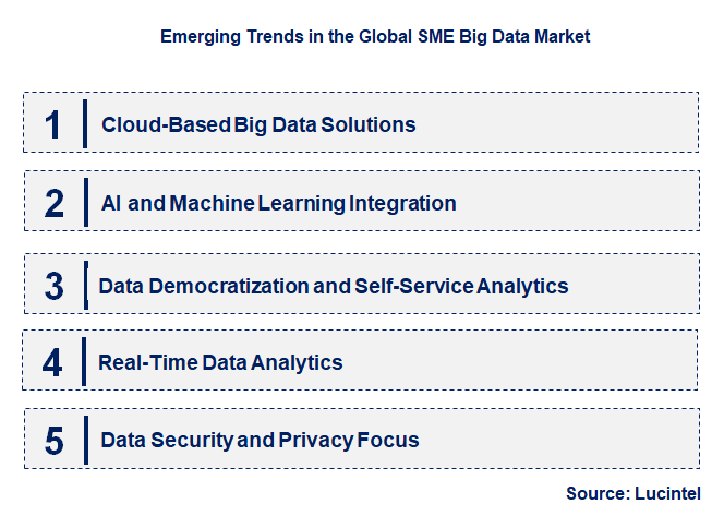 Emerging Trends in the SME Big Data Market