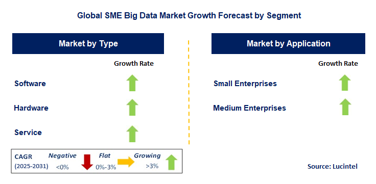 SME Big Data Market by Segment