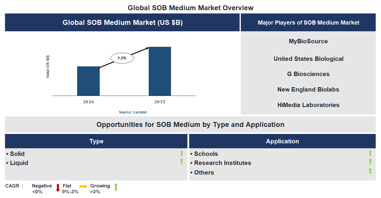 SOB Medium Market Trends and Forecast