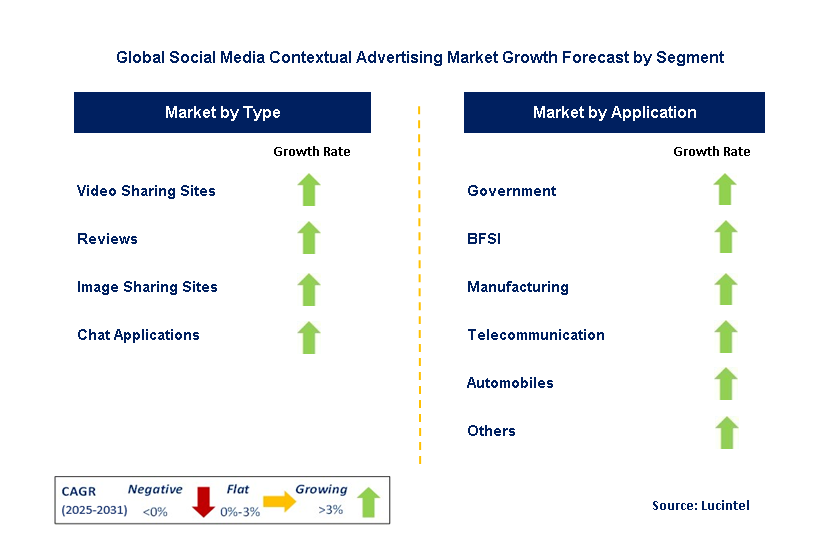 Social Media Contextual Advertising Market by Segment