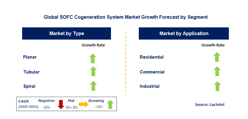 SOFC Cogeneration System Market by Segment