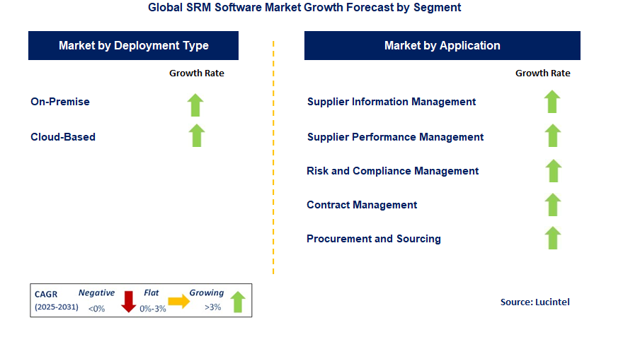 SRM Software Market by Segment