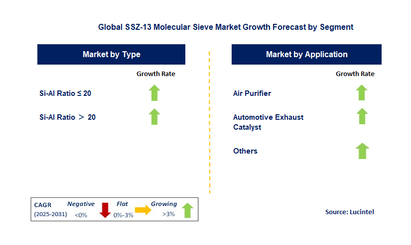 SSZ-13 Molecular Sieve Market by Segment