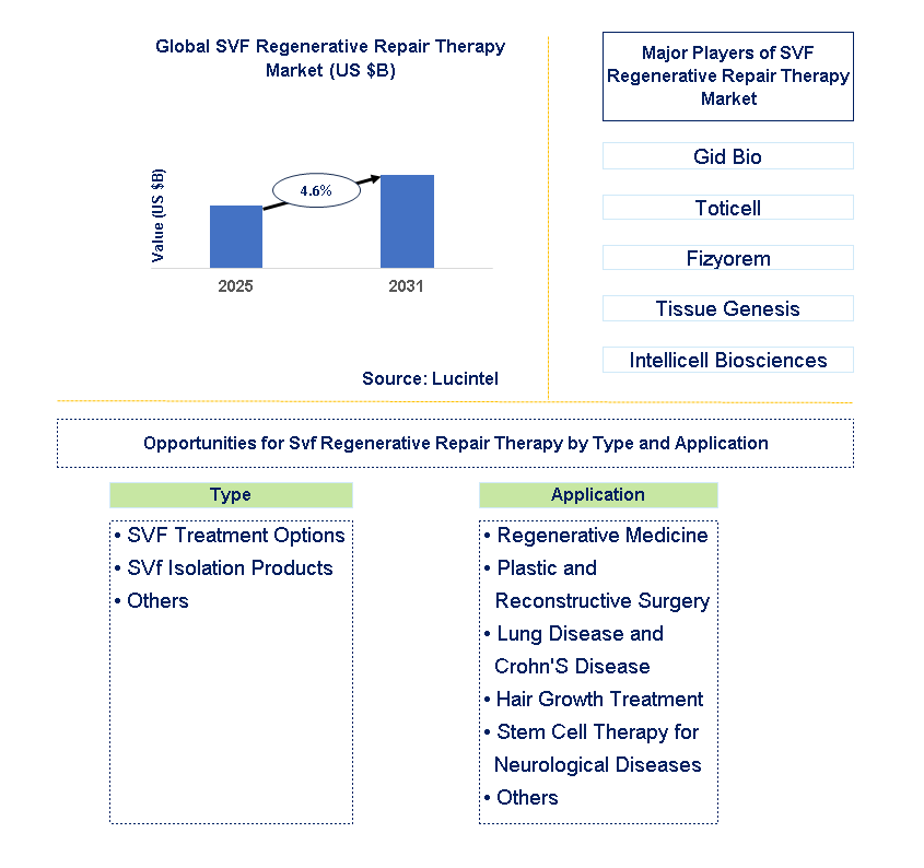SVF Regenerative Repair Therapy Market Trends and Forecast