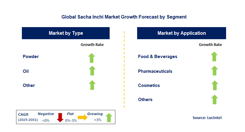 Sacha Inchi Market Trends and Forecast