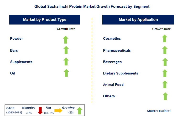 Sacha Inchi Protein Market by Segment