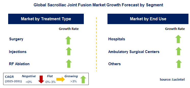 Sacroiliac Joint Fusion Market by Segment