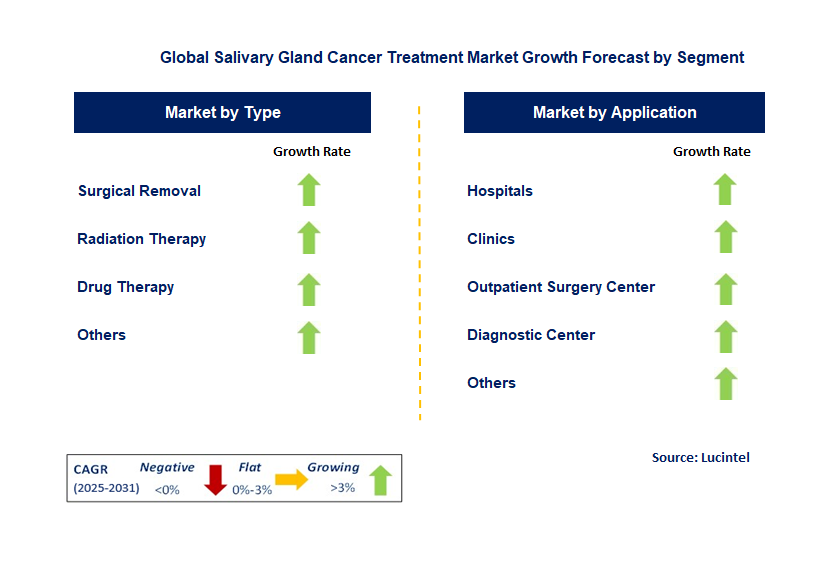 Salivary Gland Cancer Treatment Market by Segment