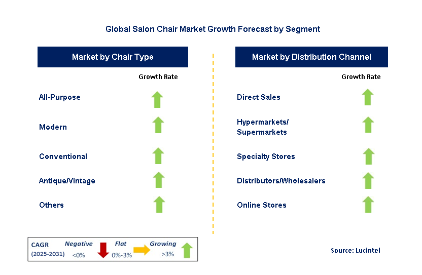 Salon Chair Market by Segment