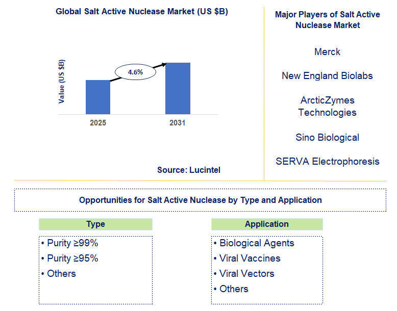 Salt Active Nuclease Market Trends and Forecast