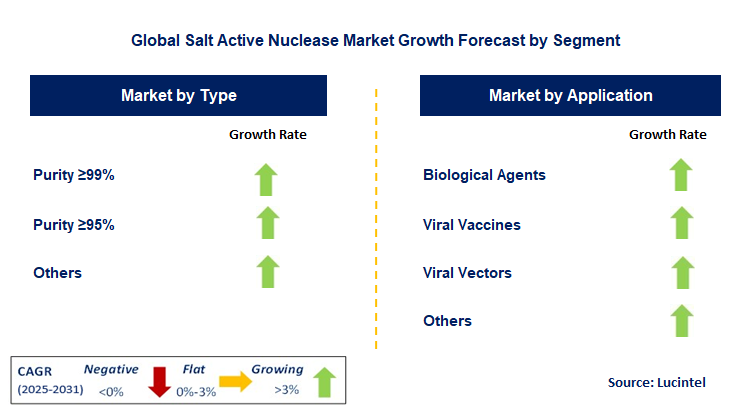 Salt Active Nuclease Market by Segment