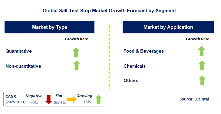 Salt Test Strip Market by Segment