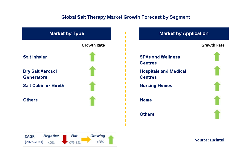 Salt Therapy Market by Segment