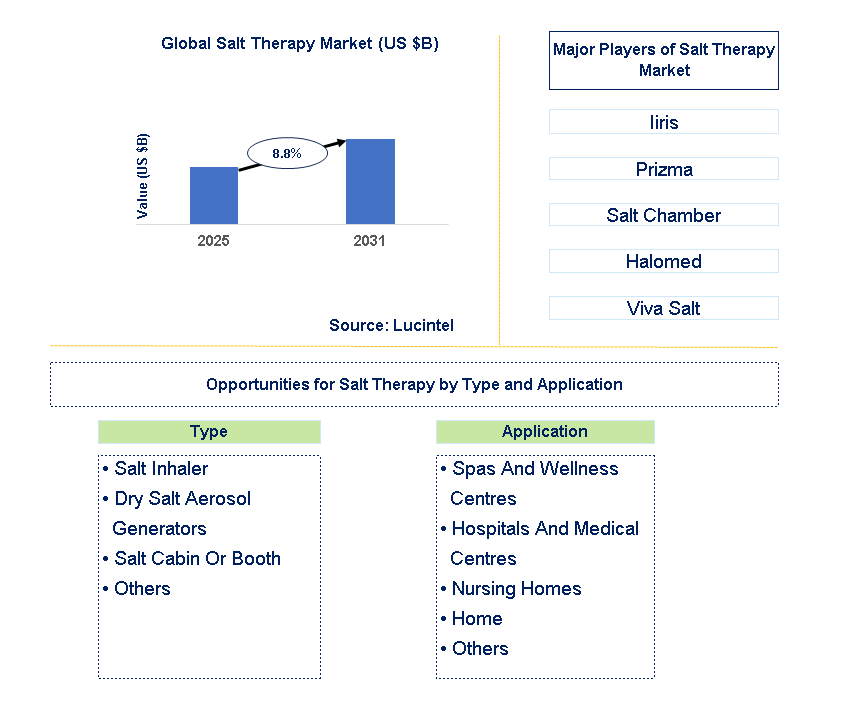 Salt Therapy Market Trends and Forecast