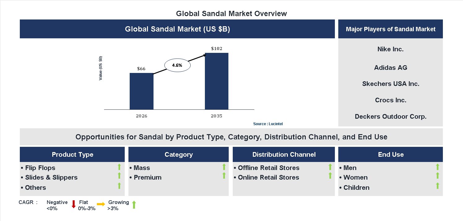 Sandal Market Trends and Forecast