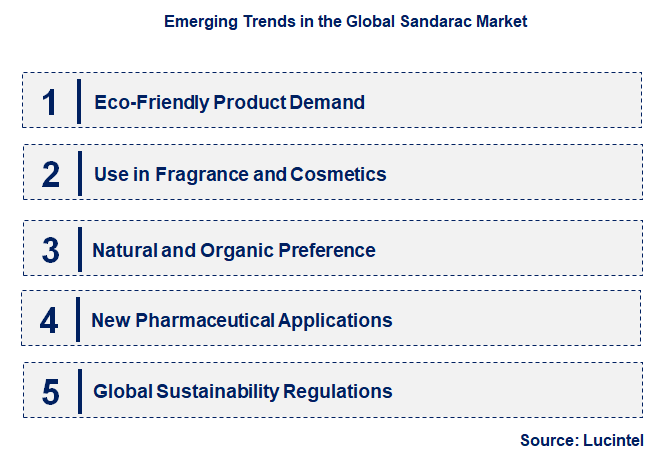 Emerging Trends in the Sandarac Market