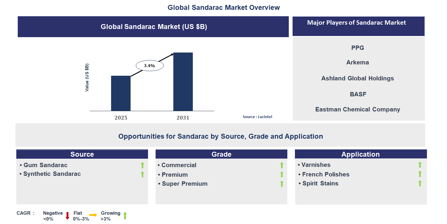 Sandarac Market Trends and Forecast