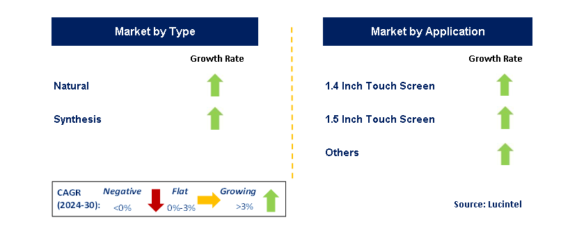 Sapphire for Smartwatch Trends and forecast Market by Segment