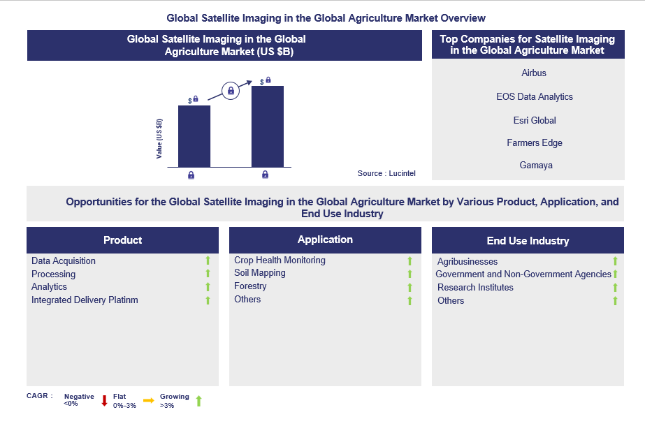Satellite Imaging in the Global Agriculture Trends and Forecast