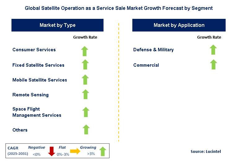 Satellite Operation as a Service Sale Market by Segment