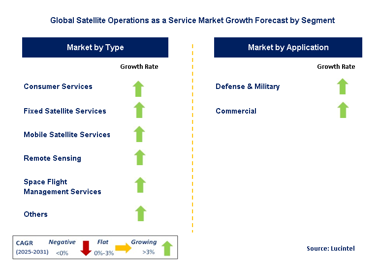 Satellite Operations as a Service Market by Segment