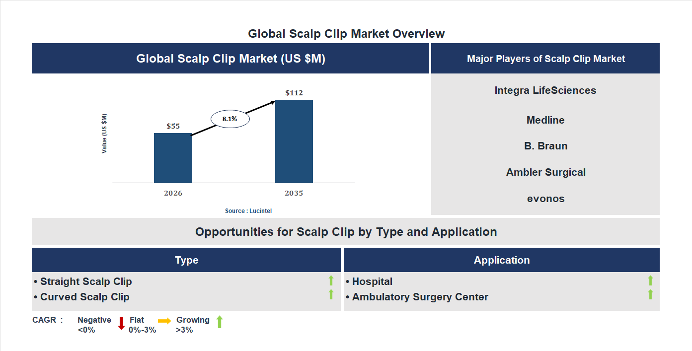 Scalp Clip Market Trends and Forecast