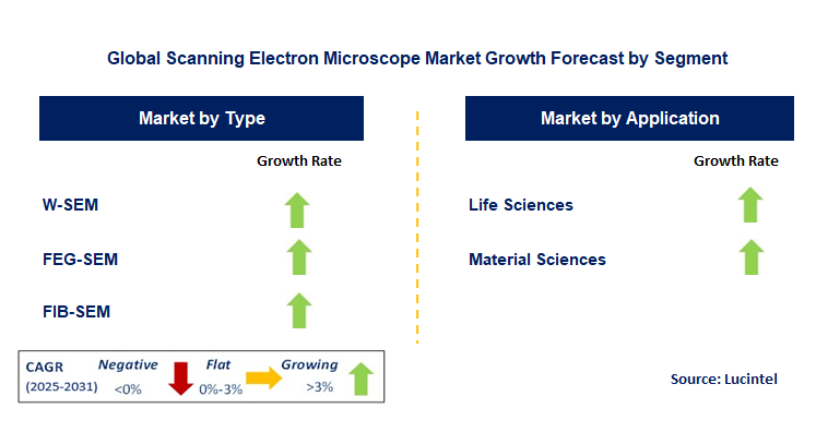 Scanning Electron Microscope Market by Segment