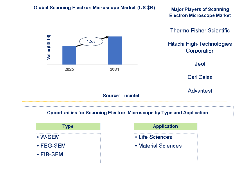 Scanning Electron Microscope Market Trends and Forecast