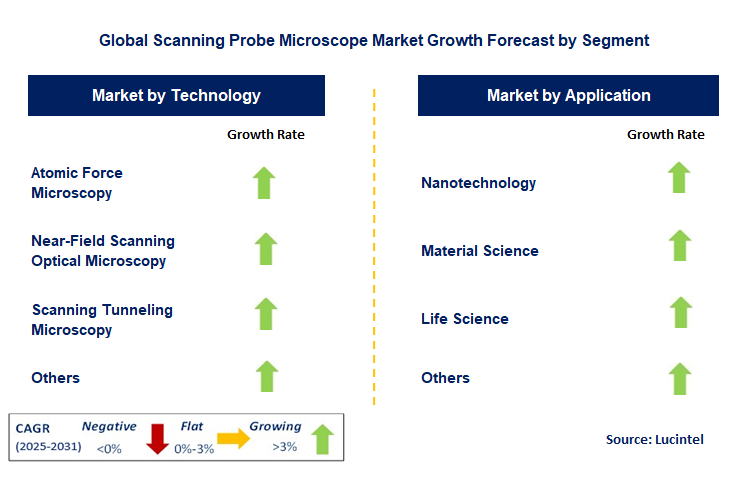 Scanning Probe Microscope Market by Segment