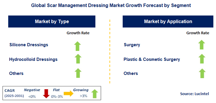 Scar Management Dressing Market by Segment