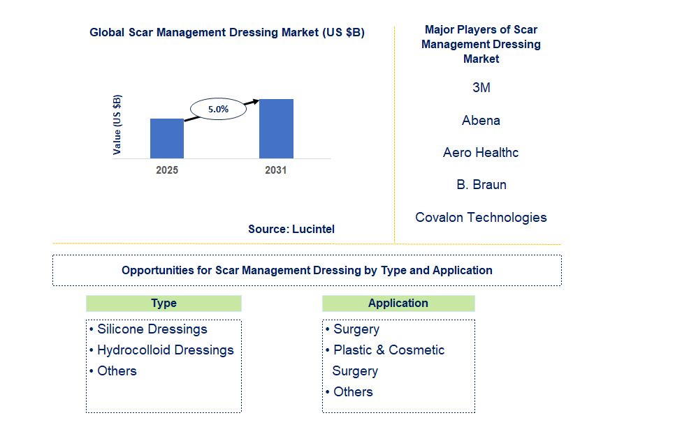 Scar Management Dressing Market Trends and Forecast
