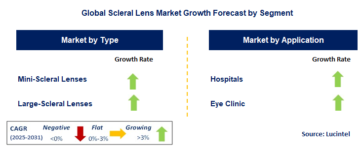 Scleral Lens Market by Segment