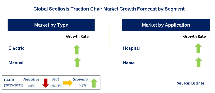 Scoliosis Traction Chair Market by Segment