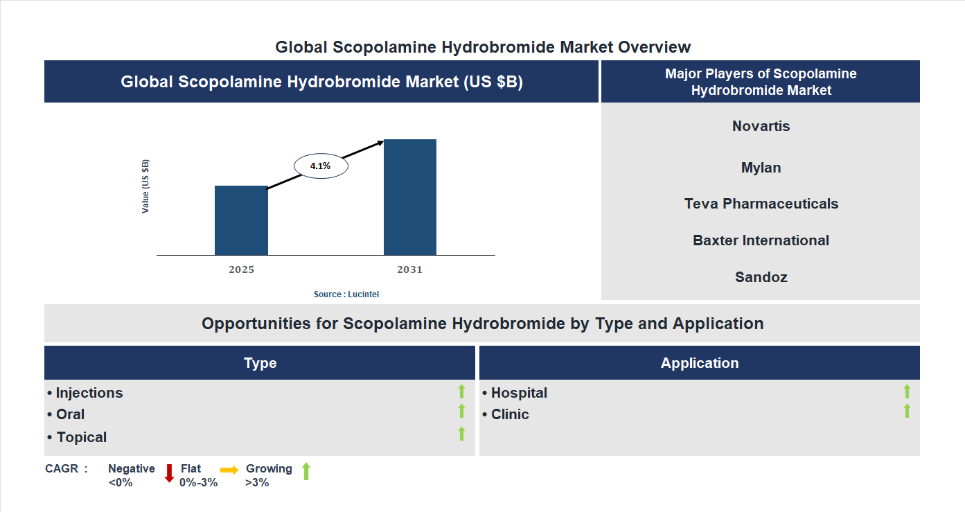 Scopolamine Hydrobromide Market Trends and Forecast