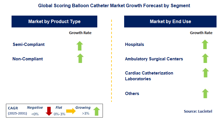 Scoring Balloon Catheter Market by Segment