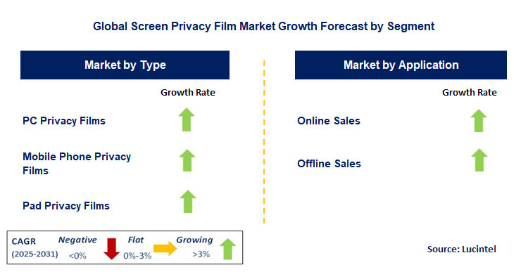 Screen Privacy Film Market by Segment